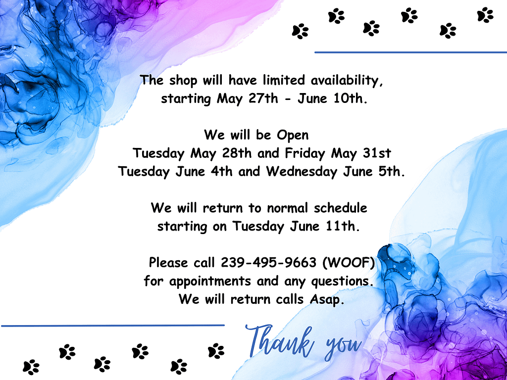 Bubbles and Biscuits Pet Spa & Social Club for Dogs in Bonita Springs FL